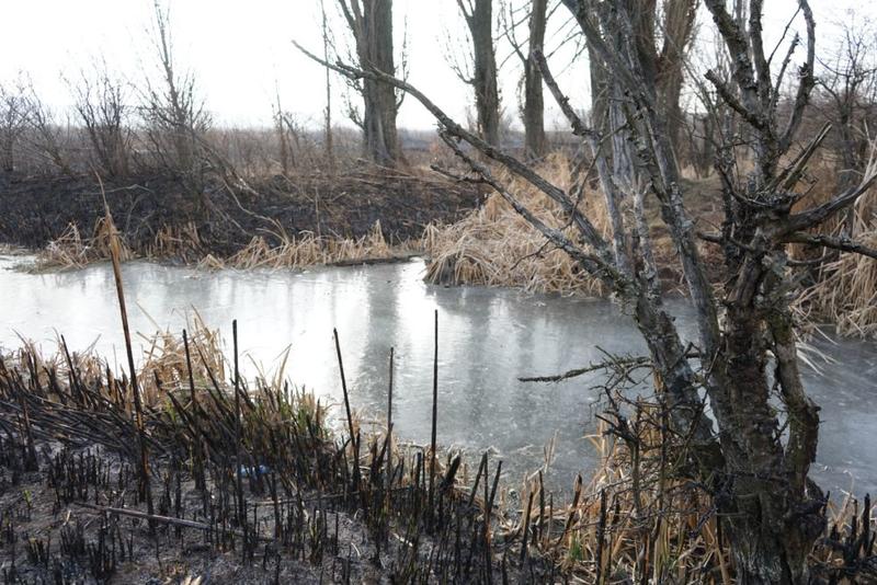 Министър Димитров Драгоманско блато - 7