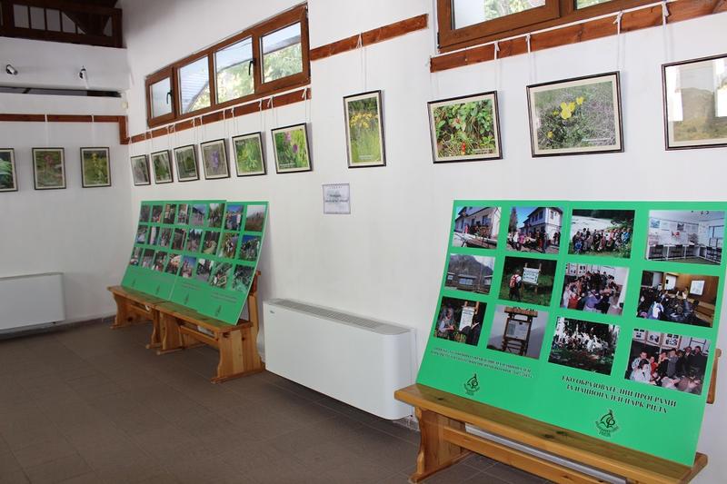 Скакавица - 4