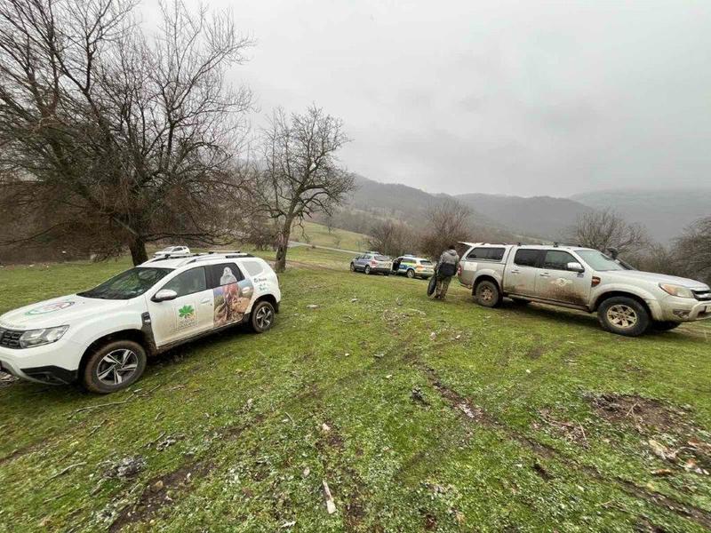 МОСВ призовава за по-добро прилагане на закона срещу отровителството на птици - 3