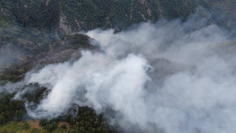 The fire in the Central Balkan has been extinguished - 5