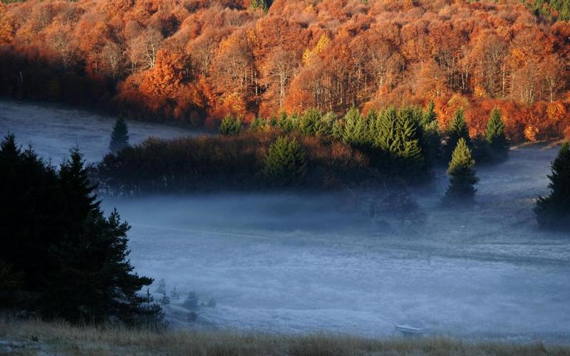 The management plan for the Nature Park “Bulgarka” has been adopted - 01