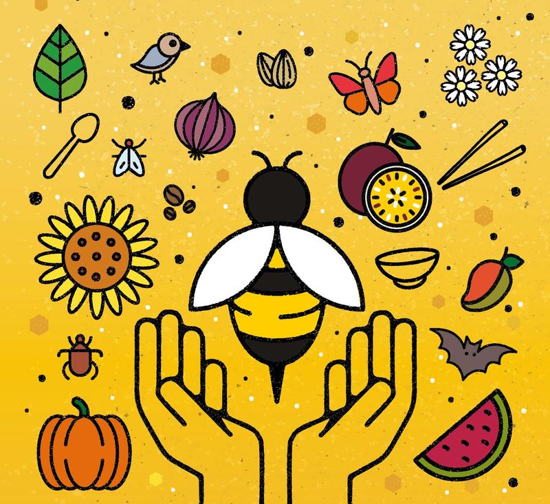 Today we celebrate World Bee Day - 01