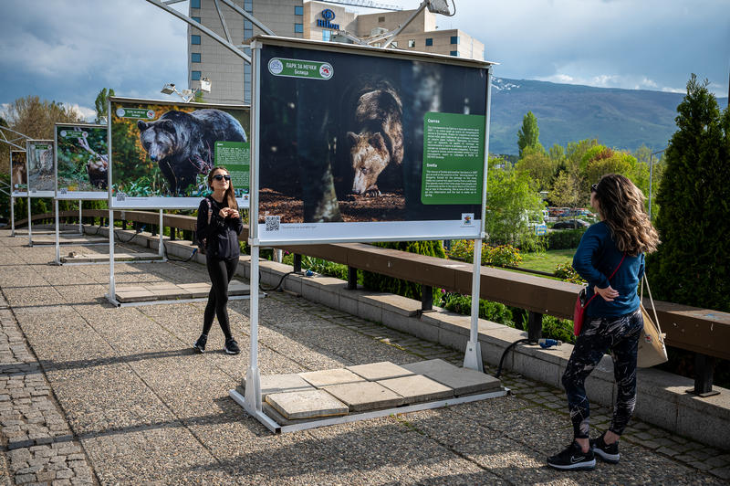 Изложба представя историята на парка за мечки край Белица - 4