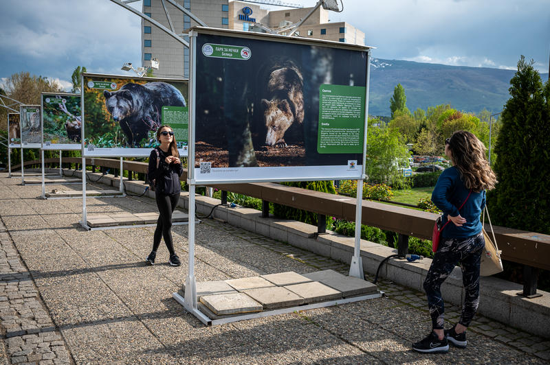 An exhibition presents the history of the bear park near Belitsa - 4