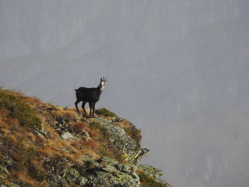Central Balkan National Park celebrates 34 years since its establishment - 6