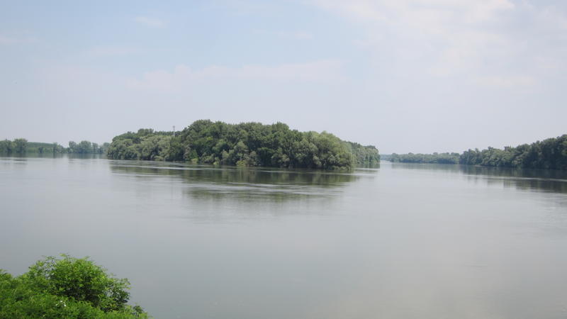 На 29 юни отбелязваме Деня на река Дунав - 3