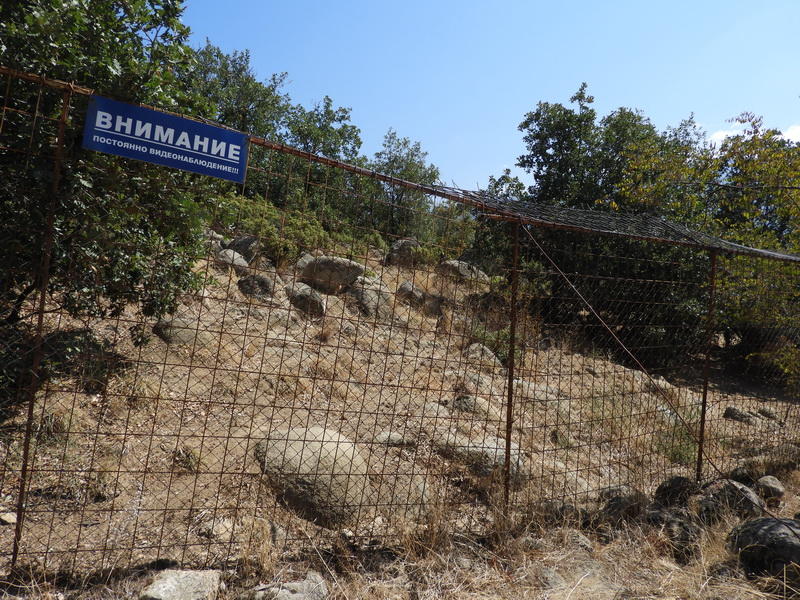 Една мечка и два вълка в село Влахи не са  регистрирани в РИОСВ - Благоевград - 01