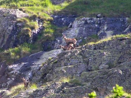 Today we celebrate 72 years since the declaration of the Dzhendema Reserve - 2