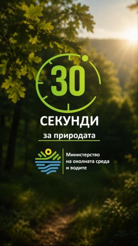 Преди да започне битката с огъня, има един друг път – този до пожара - 01