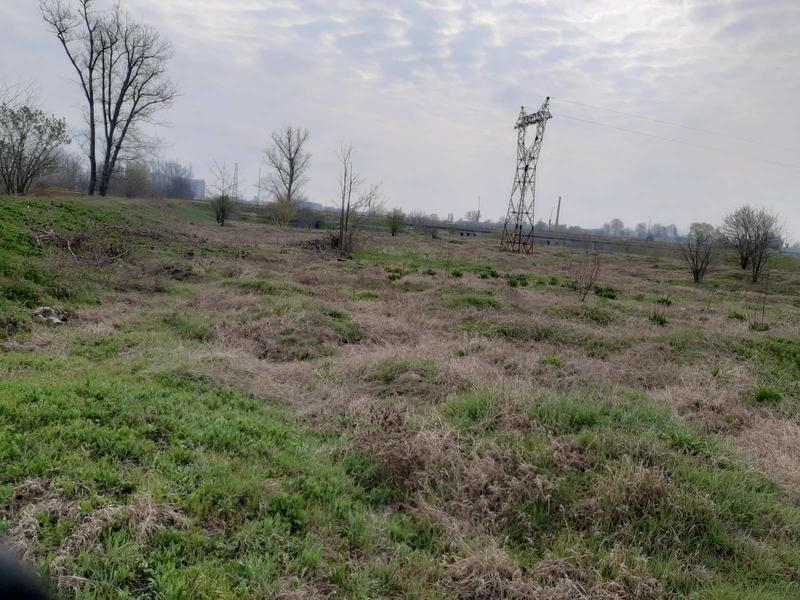 Регионални структури на МОСВ в Пазарджик почистиха Парк „Писковец“ - 01