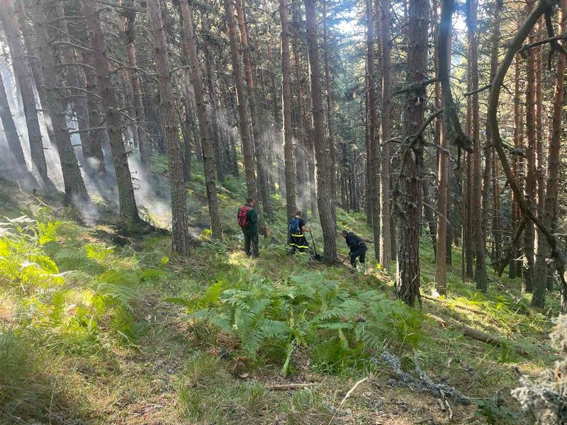 The fire in the Rila National Park is still not under control - 5
