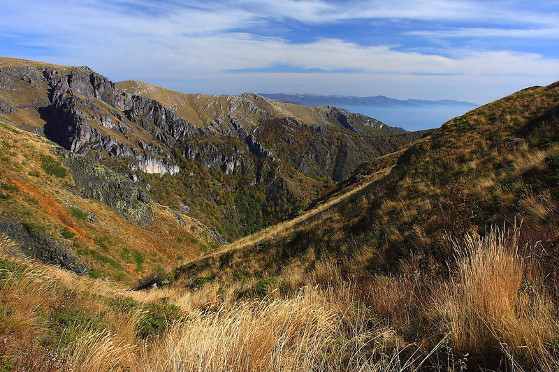 Установени са три нови растителни вида в „Централен Балкан“ - 01