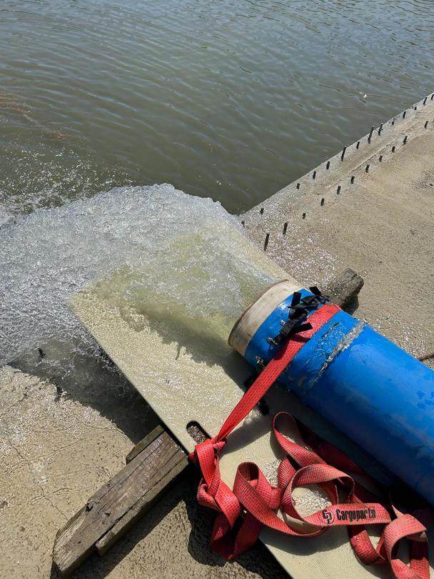 Water transfer from the Danube River to the Srebarna Reserve water mirror started - 5