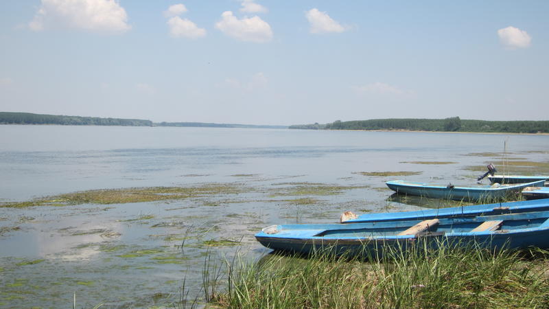 На 29 юни отбелязваме Деня на река Дунав - 2