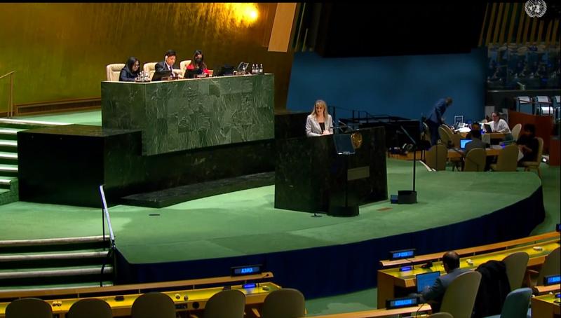 Minister Karamfilova participated in the general debate of the UN High-level Conference “Water for Sustainable Development” - 2