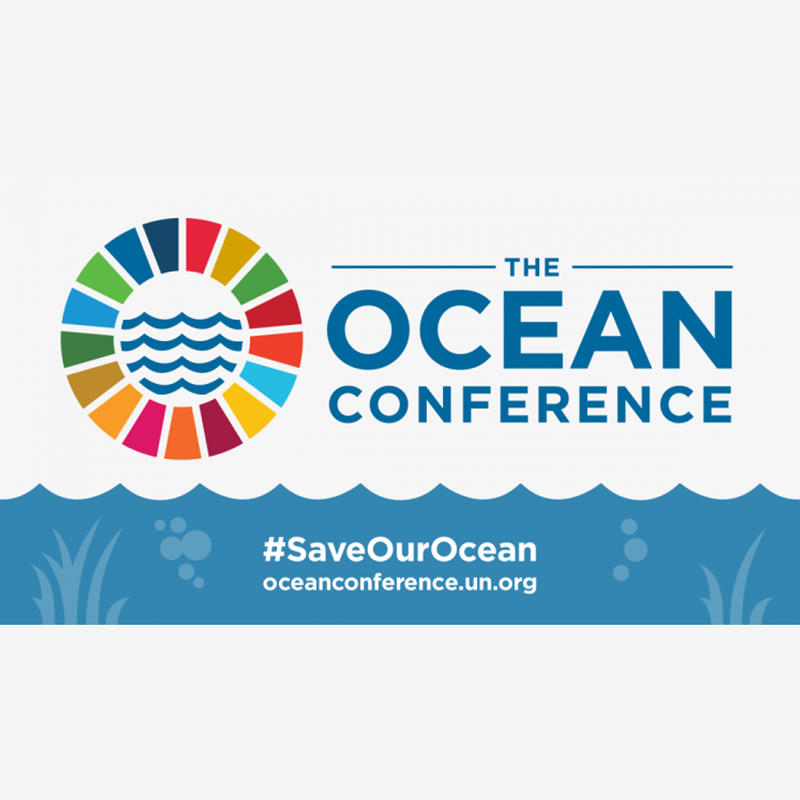 Minister Borislav Sandov participated at the UN Conference on the protection and sustainable use of oceans and seas - 01
