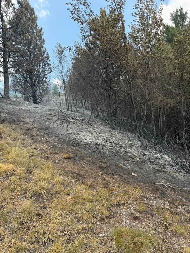 The fire in the Central Balkan has been extinguished - 01