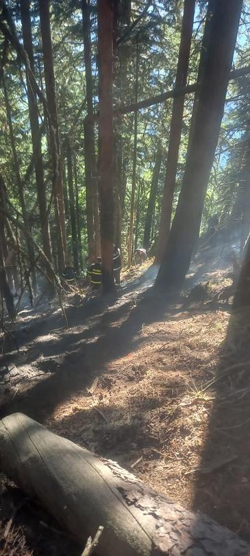 A fire broke out on the territory of the Rila Monastery Forest Reserve - 6