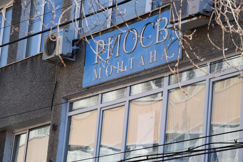 В РИОСВ-Монтана са получени 5 сигнала за бедстващи щъркели - 01