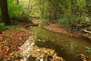 Анализирани са резултатите от пробата вода на р. Батова - 01