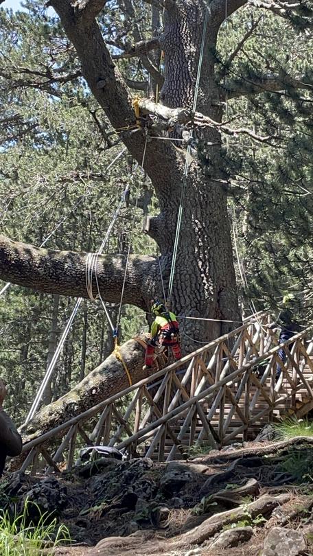 Access to the Baykusheva Mura is restored - 7