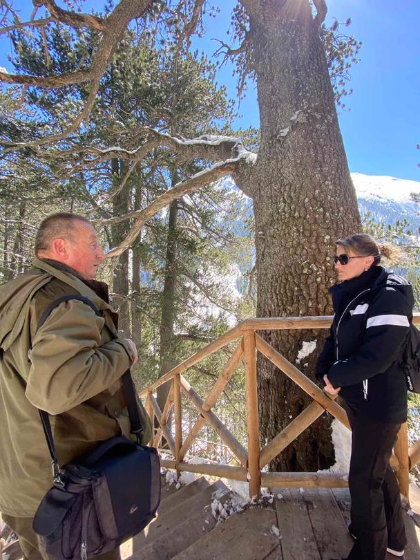 Minister Karamfilova: We will take Immediate Measures to Conserve the Baykushevа Pine - 3