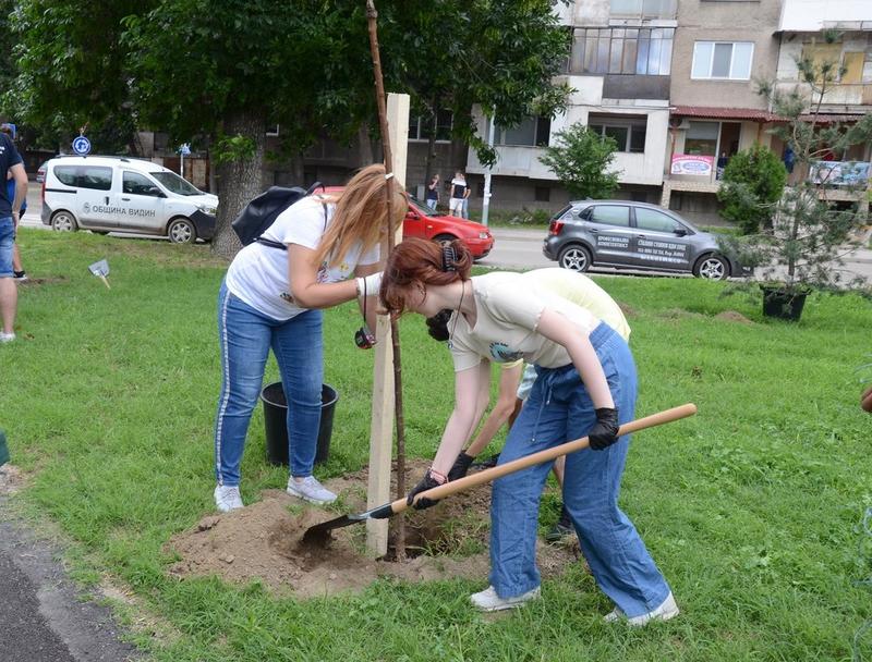 Засаждат дръвчета със средства от предадени стари отоплителни уреди - 3