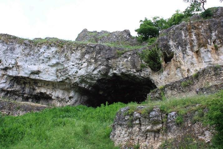 Утвърден е Планът за действие за опазване на популациите на пещеролюбивите прилепи в България - 3