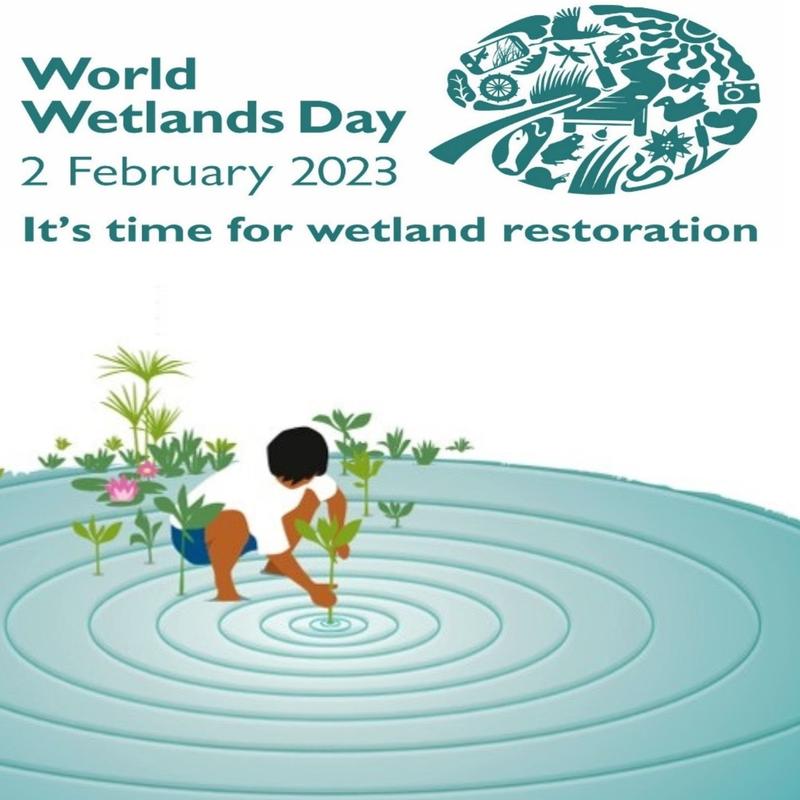 We mark the World Wetlands Day 2023, applications are now open - 01