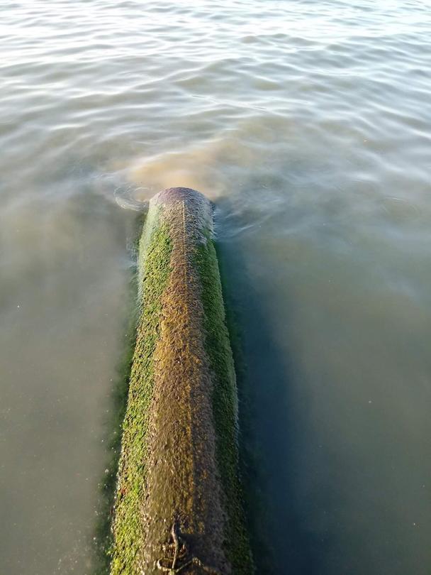 After inspection RIEW-Burgas signaled the prosecutor’s office for the years-long illegal wastewater discharge near Sinemorets - 01