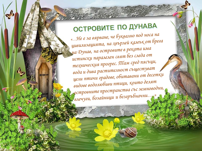 РИОСВ – Русе излъчи победители в конкурсите за Световния ден  на влажните зони - 01