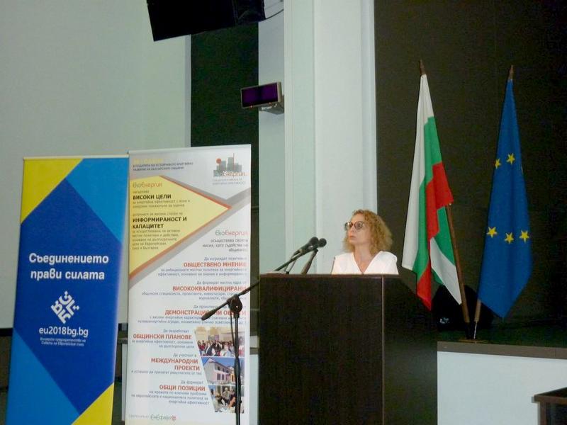 Зам.-министър Николова: Трябва да привличаме повече частни инвестиции в прехода към нисковъглеродна икономика - 01