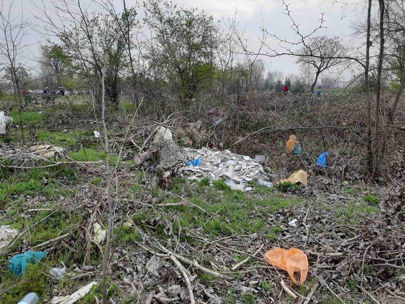 Регионални структури на МОСВ в Пазарджик почистиха Парк „Писковец“ - 6