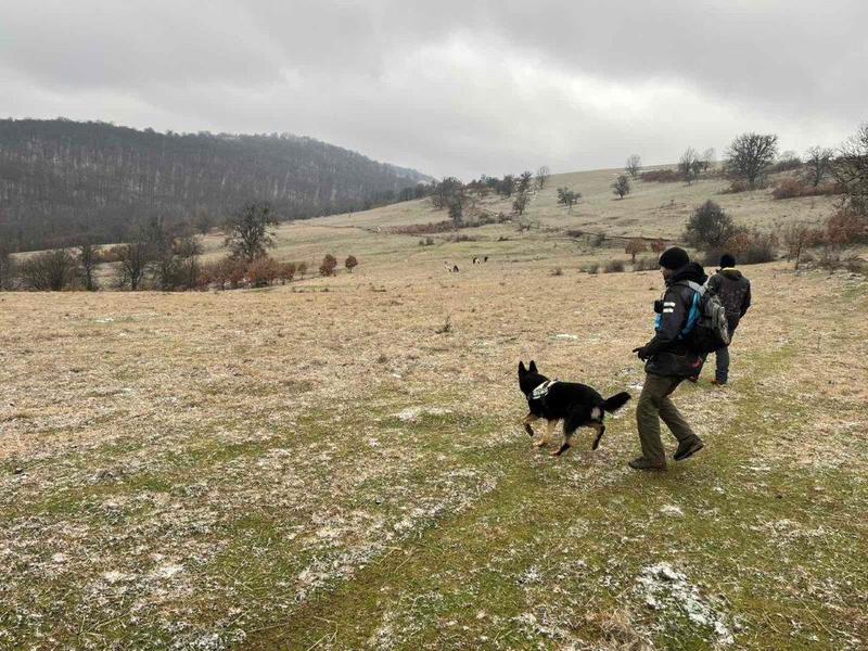МОСВ призовава за по-добро прилагане на закона срещу отровителството на птици - 2