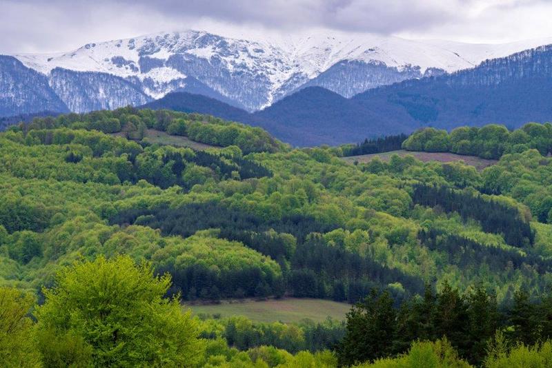 On November 3, we celebrate the International Day of Biosphere Parks - 7