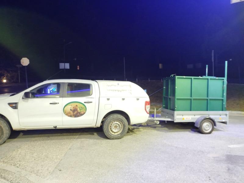 РИОСВ – Смолян проведе акция за спасяване на мече - 2