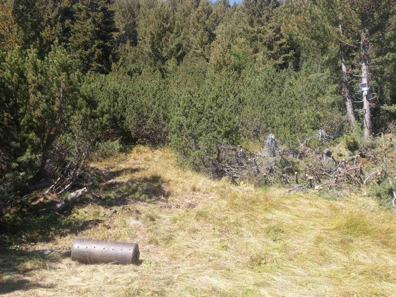 Национален парк „Рила“ и МВР с акция срещу незаконно подхранване на дива свиня - 5