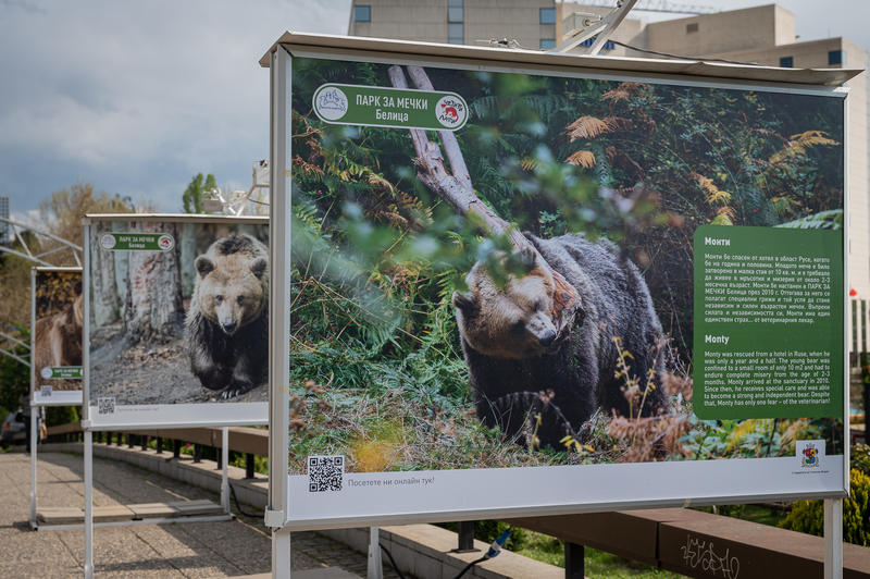 Изложба представя историята на парка за мечки край Белица - 01