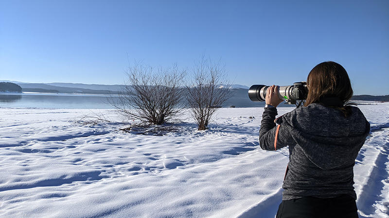 Юбилейното 50-то среднозимно преброяване на зимуващите водолюбиви птици ще се проведе от 15 до 18 януари - 3