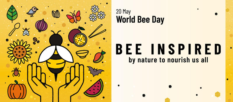 Today we celebrate World Bee Day - 3