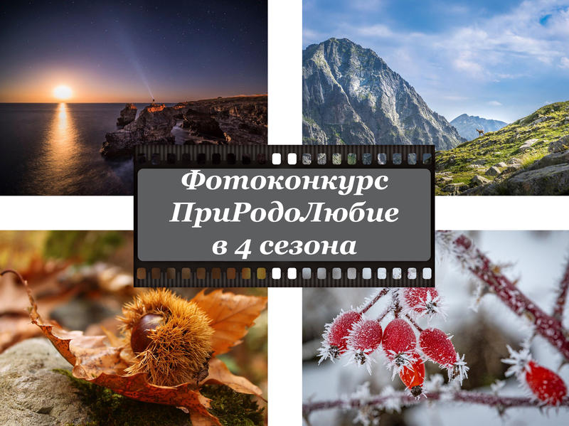 Избрани са победителите във фотоконкурса на МОСВ „ПриРодоЛюбие в 4 сезона“ - 01