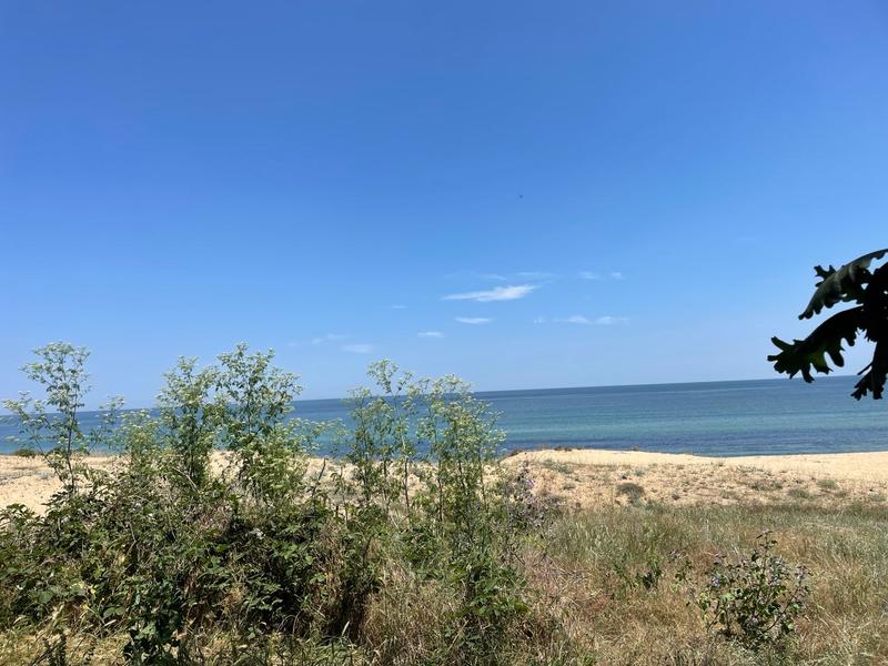 Black Sea water along the coastline is of excellent quality, a join inspection by three ministers showed - 6