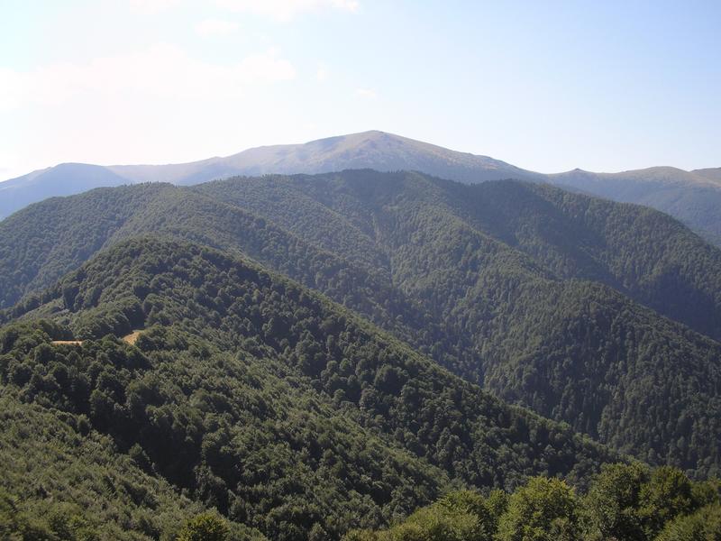 Днес отбелязваме 32 години от обявяването на Национален парк „Централен Балкан“ - 21