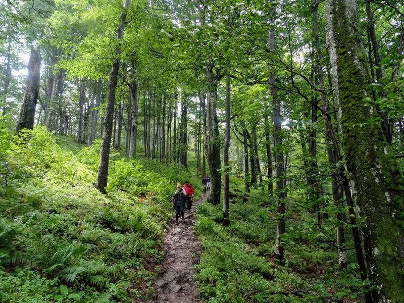 Today the International Day of Biosphere Parks will be marked for the first time - 5