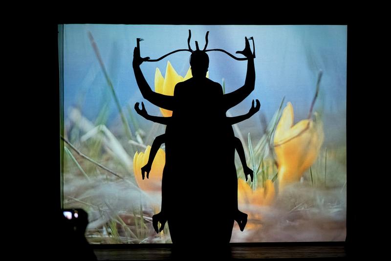 Зелена олимпиада - 4