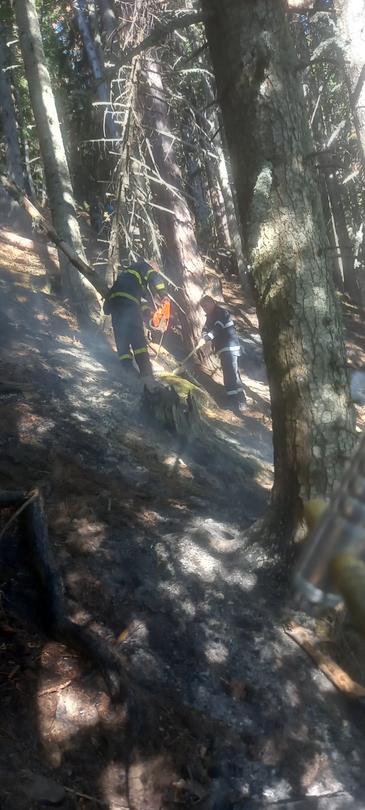 A fire broke out on the territory of the Rila Monastery Forest Reserve - 01