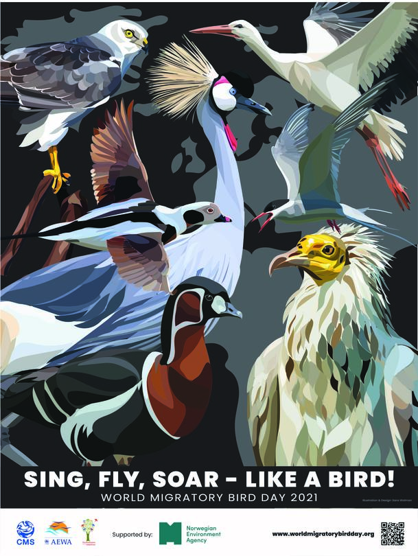 Днес е Световният ден на мигриращите видове птици - 01