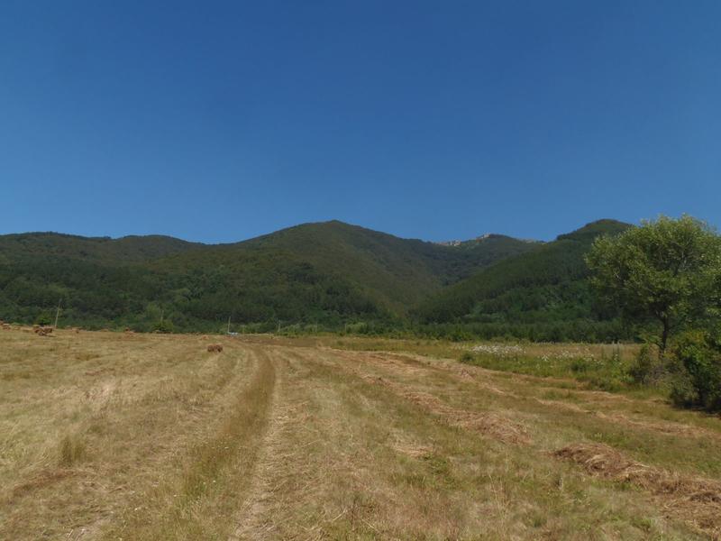 The new protected area “Alpine newt habitats in Ruy Planina” was declared - 01