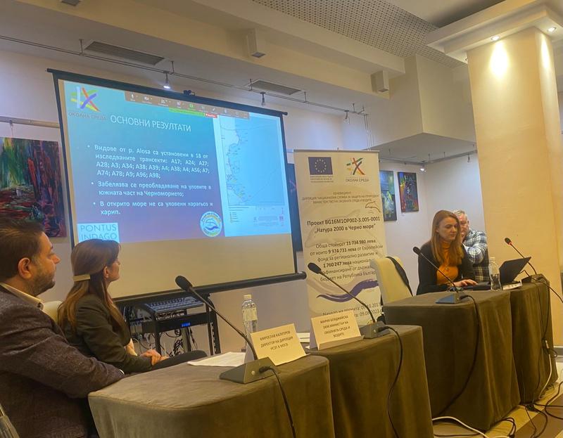 Зам.-министър Бояджийска: Ефективното опазване и управлението на защитените зони от Натура 2000 в Черно Море трябва да се основават на научна експертиза - 01
