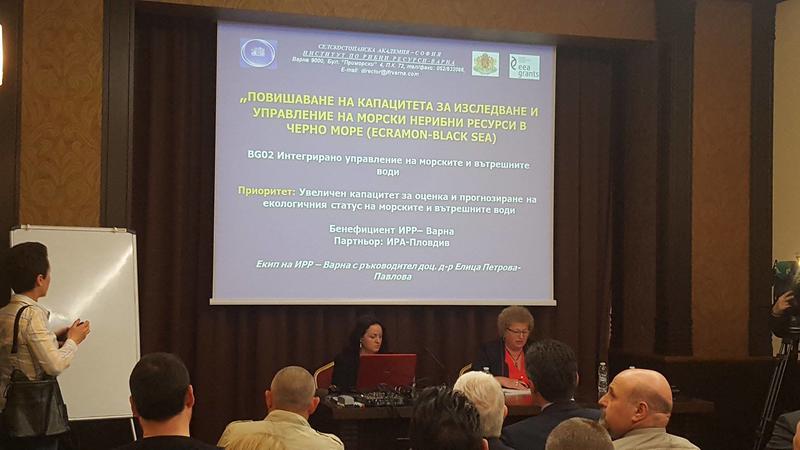 Експерти анализираха състоянието на черната мида и рапана в Черно море - 01
